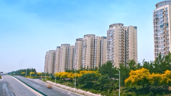 县域数字化如何走出特色之路？