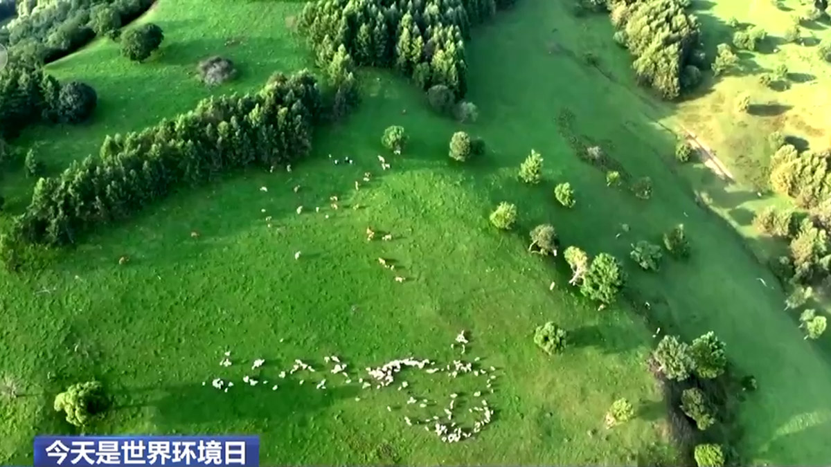 这个夏天 一起去国家公园和它们“偶遇”吧