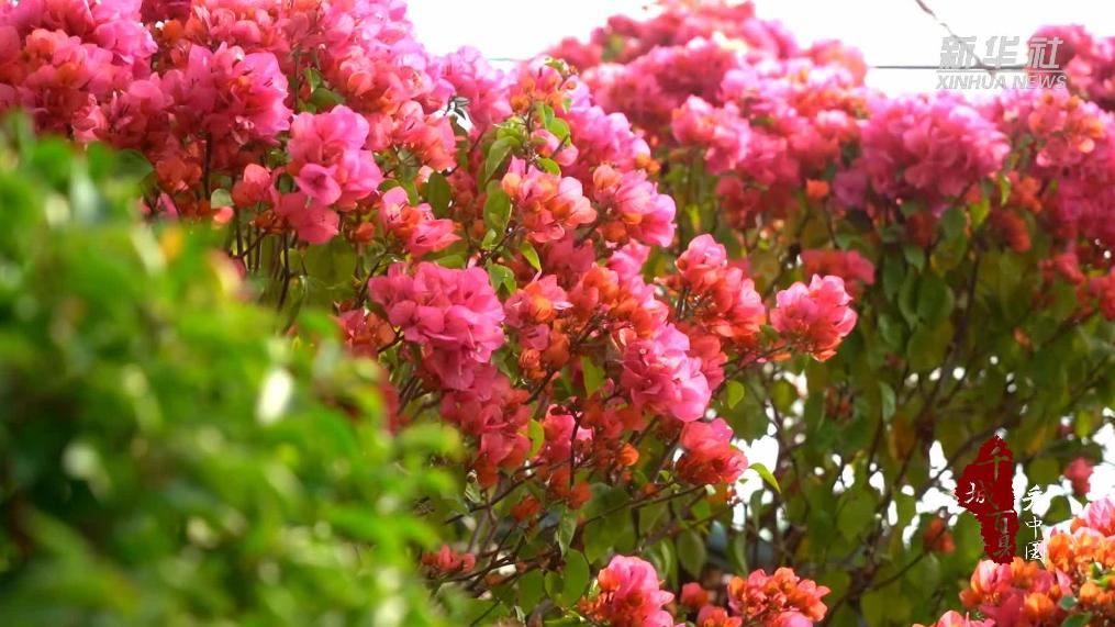 内蒙古：花团锦簇 向春而行