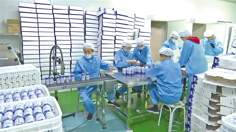 内蒙古阿拉善盟：驼铃响处产业兴