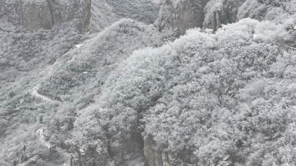 河北磁县：天保寨雾凇扮靓寒冬