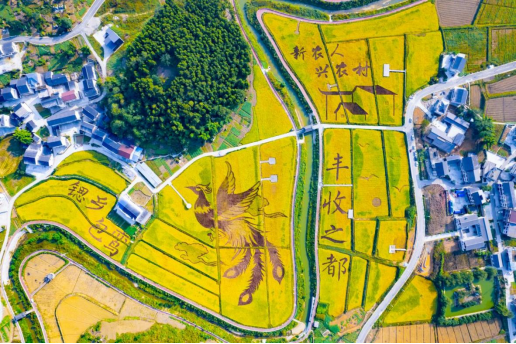 美丽城市丨丰都：重庆市的“屋顶花园”