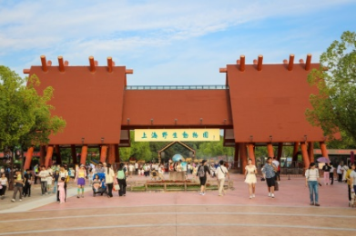 美丽景区丨上海野生动物园：人与动物和谐共生的生态文旅新地标