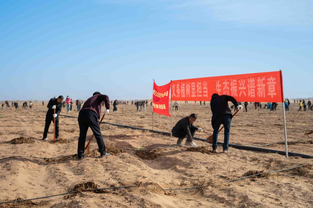 内蒙古磴口县：添绿正当时