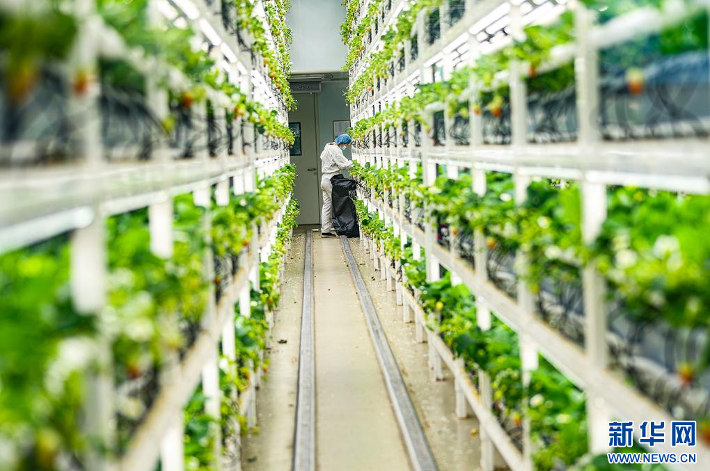 内蒙古土默特右旗：聚力打造农文旅融合综合体 激活乡村振兴新动能