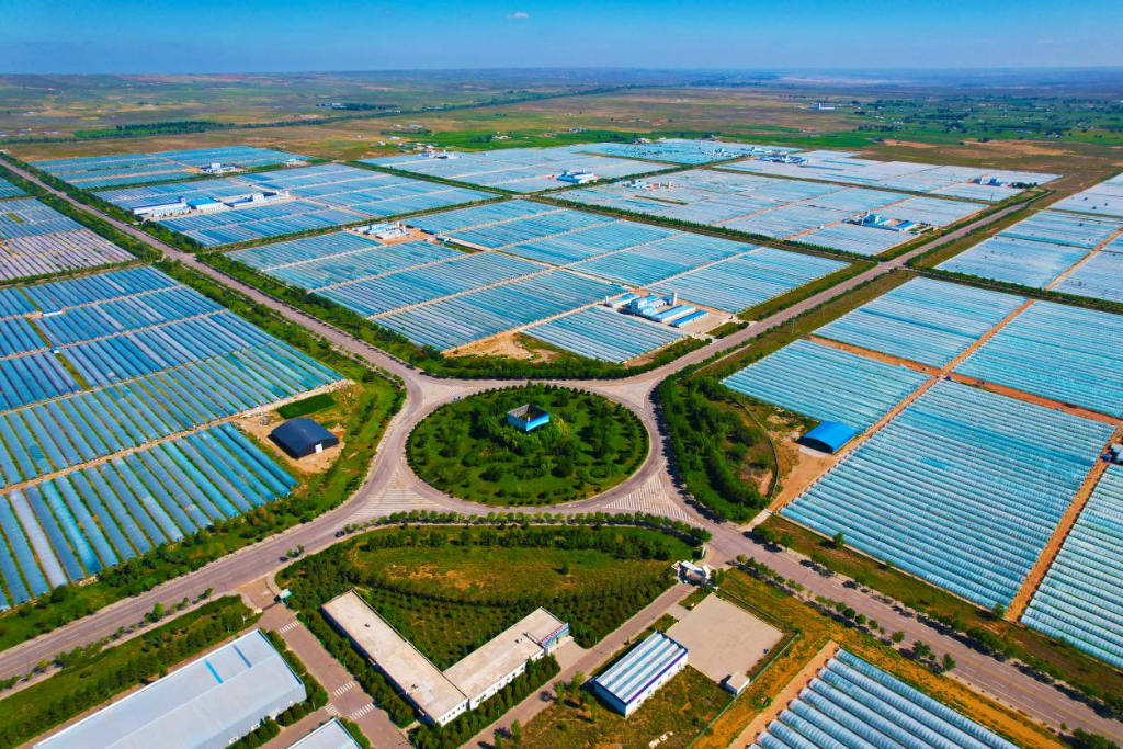 鄂托克旗：以一株微藻 打造“世界藻都”