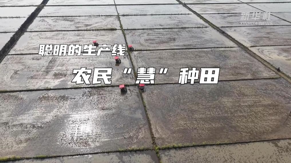 聪明的生产线：农民“慧”种田