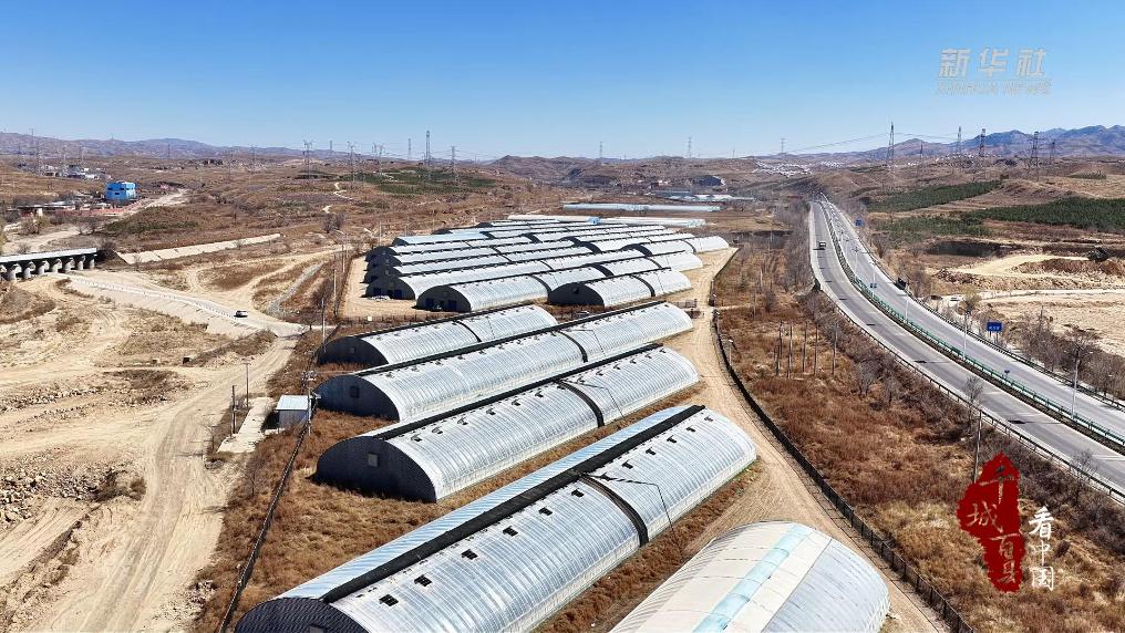 包头育出“莓”好产业