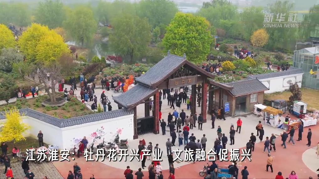 江苏淮安：牡丹花开兴产业 文旅融合促振兴