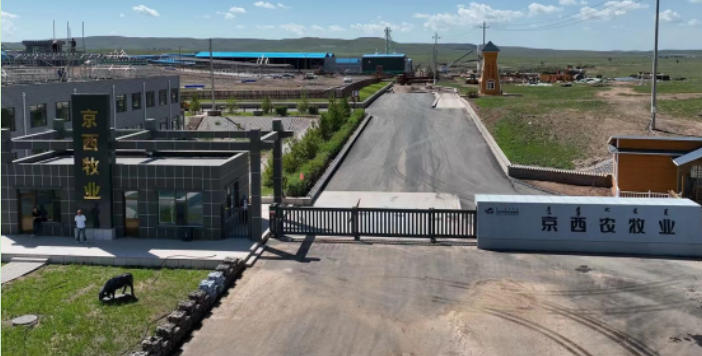 内蒙古京西牧业全链闭环领跑肉牛产业新赛道