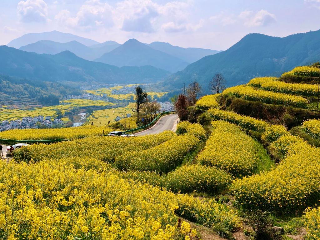 春日经济新图景｜这份原生态，守住了春天最硬核的美！