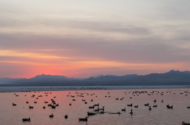 飞“阅”中国丨春天有约 候鸟回归
