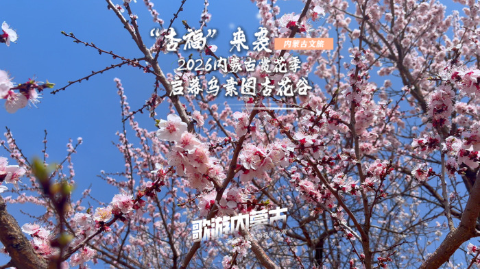 春日系列限定活动启幕乌素图