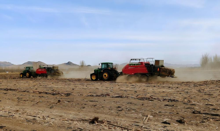 农作物残膜回收有妙招 生态春耕底气足