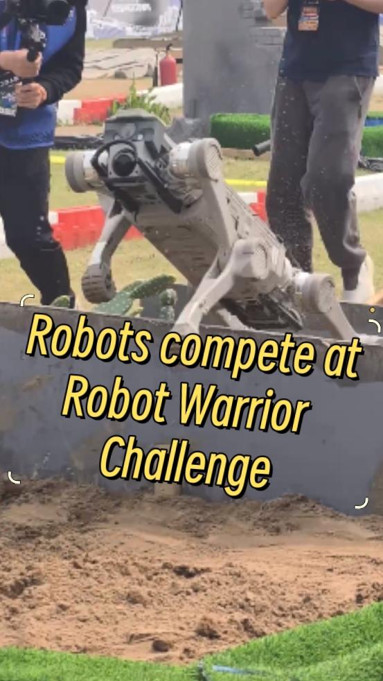Robots compete at Robot Warrior Challenge in Beijing