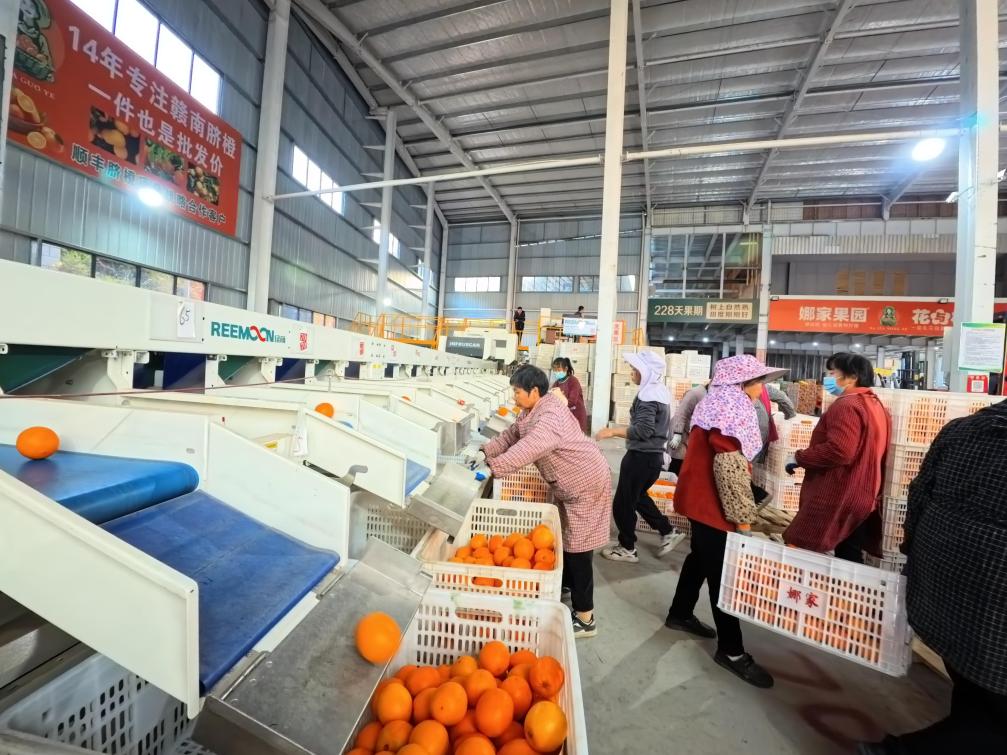 一颗果何以“长”出百亿品牌价值？