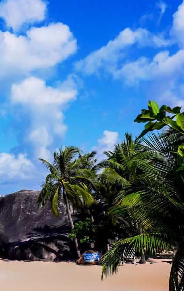 天涯十年：以“三问”破局重构区域竞争新赛道