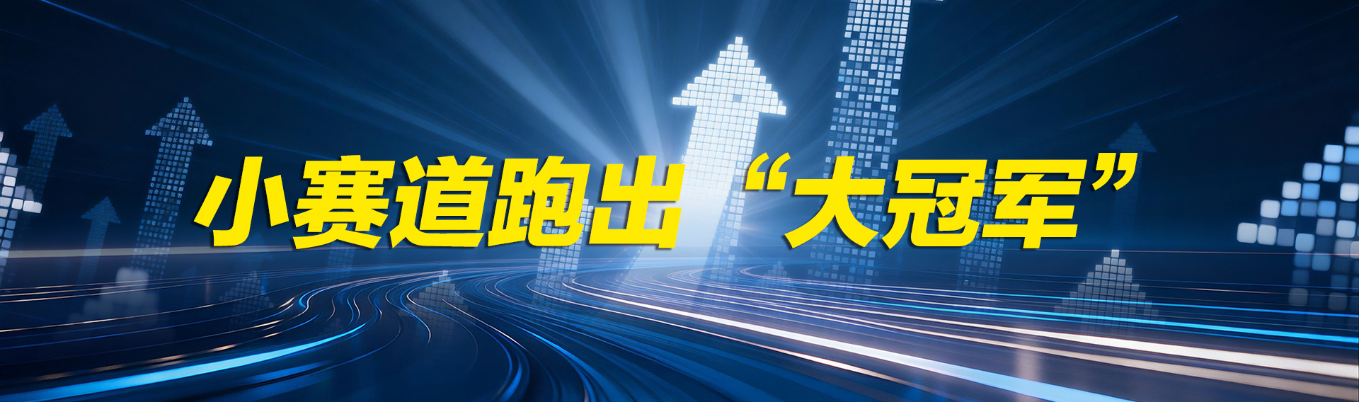 新华网专题：小赛道跑出“大冠军”