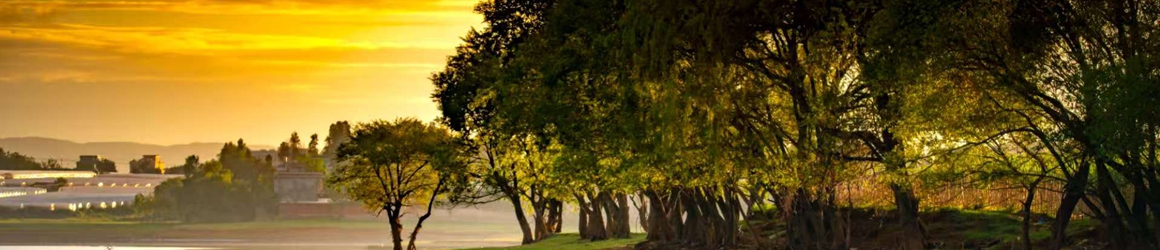 美丽景区丨诗意巫峡大美巫山 巫峡・神女景区文旅融合创新发展