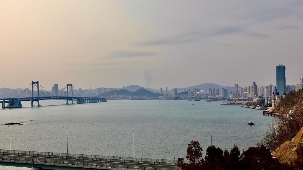 美丽城市丨大连：滨海旅游胜地，人与自然和谐共生的生态之城