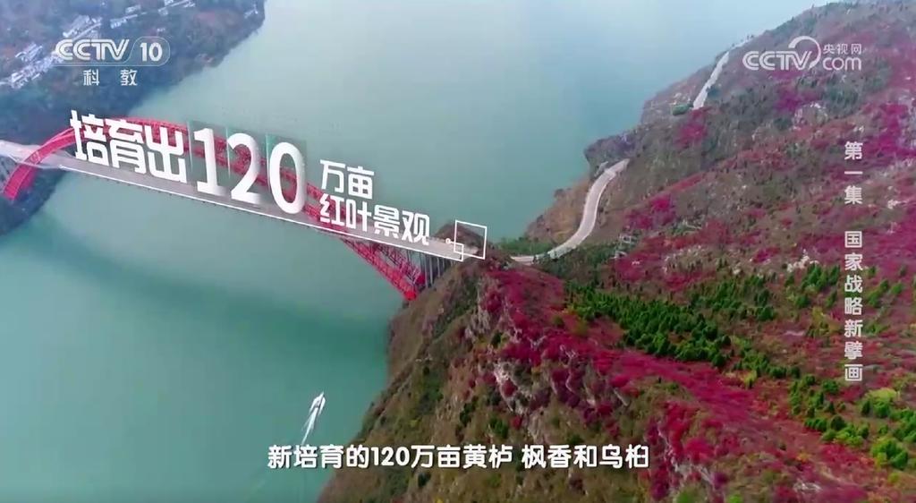 微信截图_20260418154918