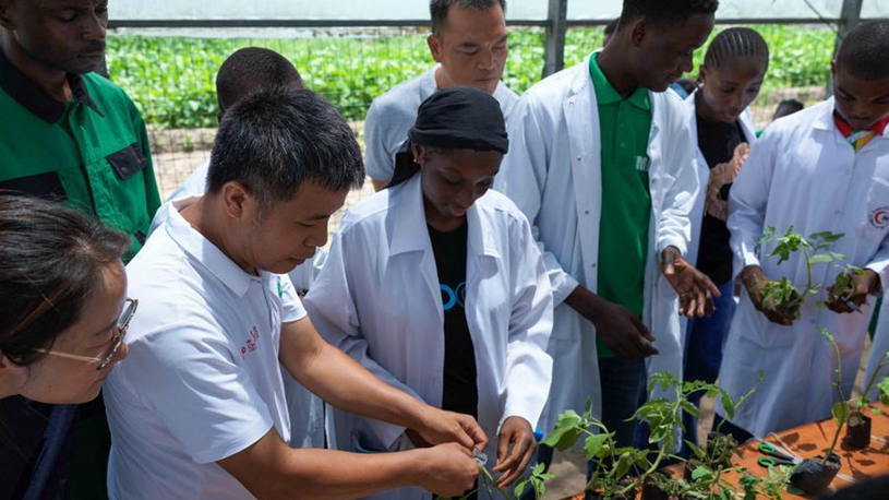 Le 15e Plan quinquennal de la Chine apporte de nouvelles opportunités pour la coopération sino-africaine