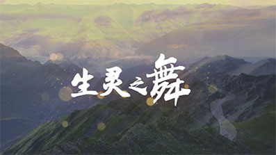 微视频|生灵之舞