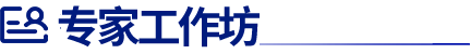 专家工作坊